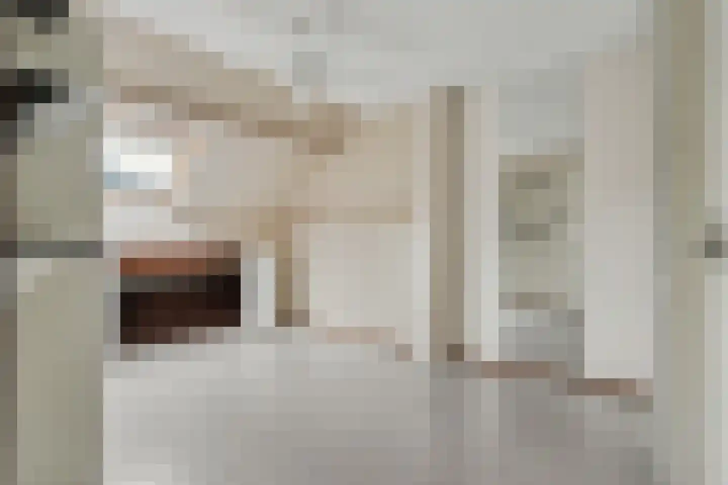 Witmos 3 Nieuwerkerk aan den IJssel thumbnail 18