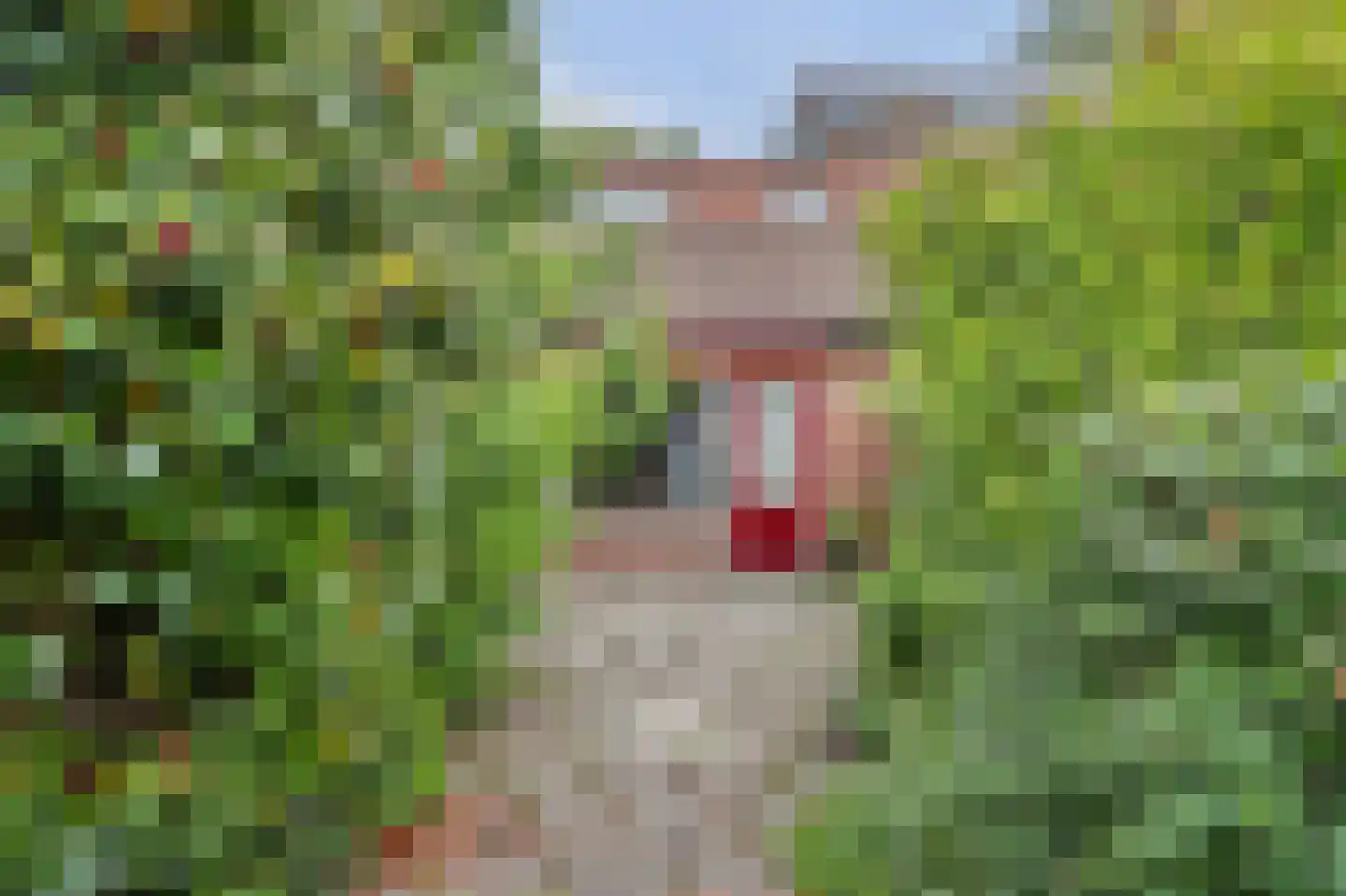 Witmos 3 Nieuwerkerk aan den IJssel thumbnail 22