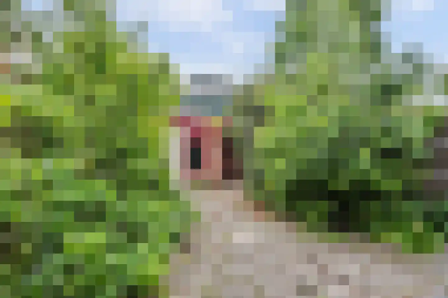 Witmos 3 Nieuwerkerk aan den IJssel thumbnail 25