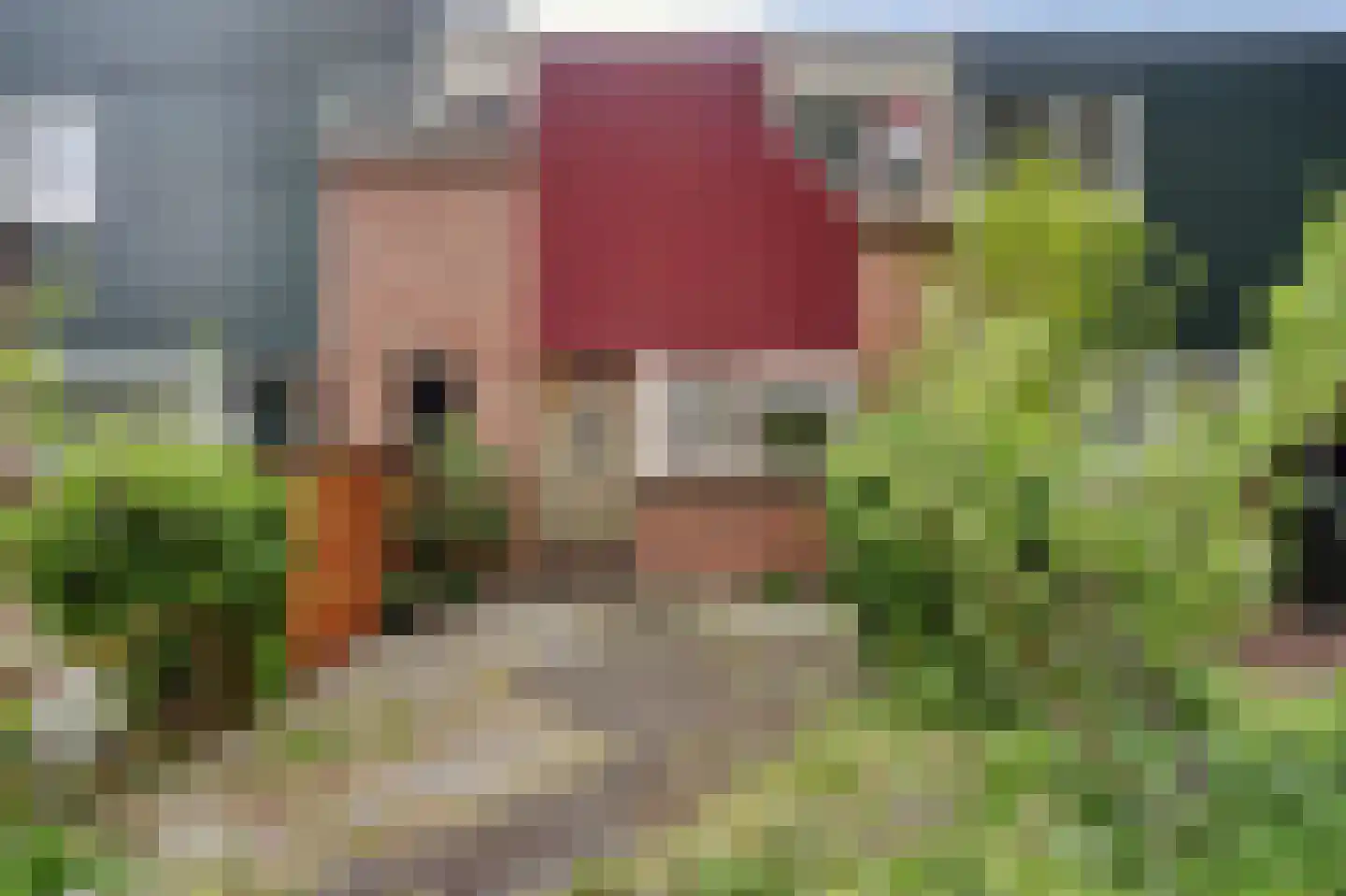 Witmos 3 Nieuwerkerk aan den IJssel thumbnail 26