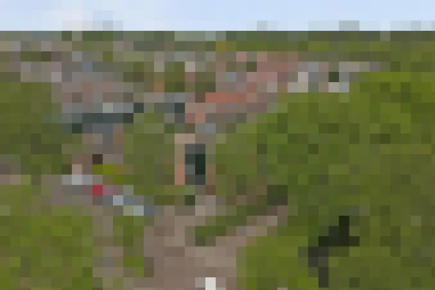 Witmos 3 Nieuwerkerk aan den IJssel thumbnail 31