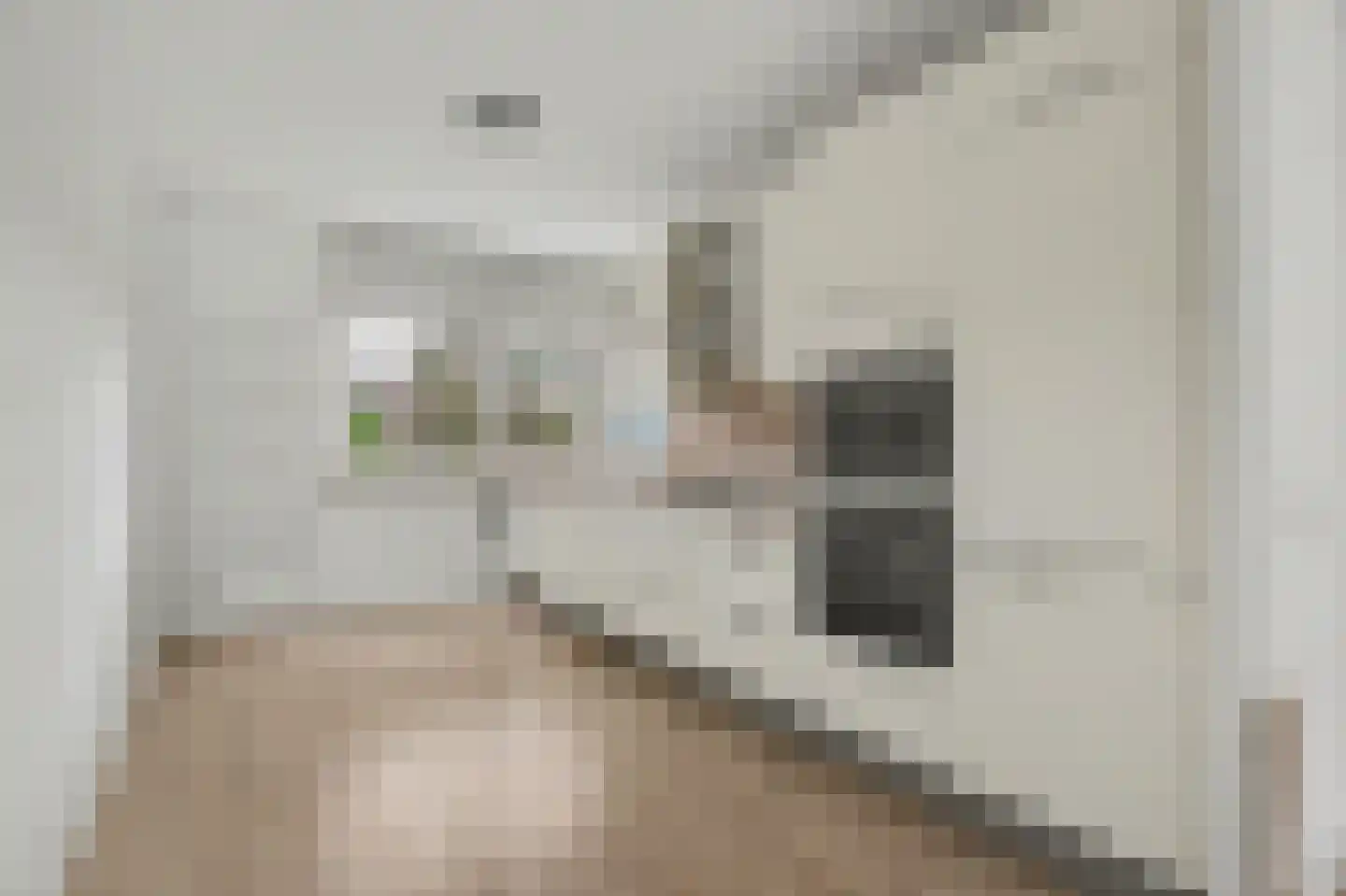 Witmos 3 Nieuwerkerk aan den IJssel thumbnail 4