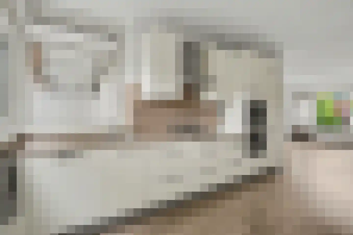 Witmos 3 Nieuwerkerk aan den IJssel thumbnail 5