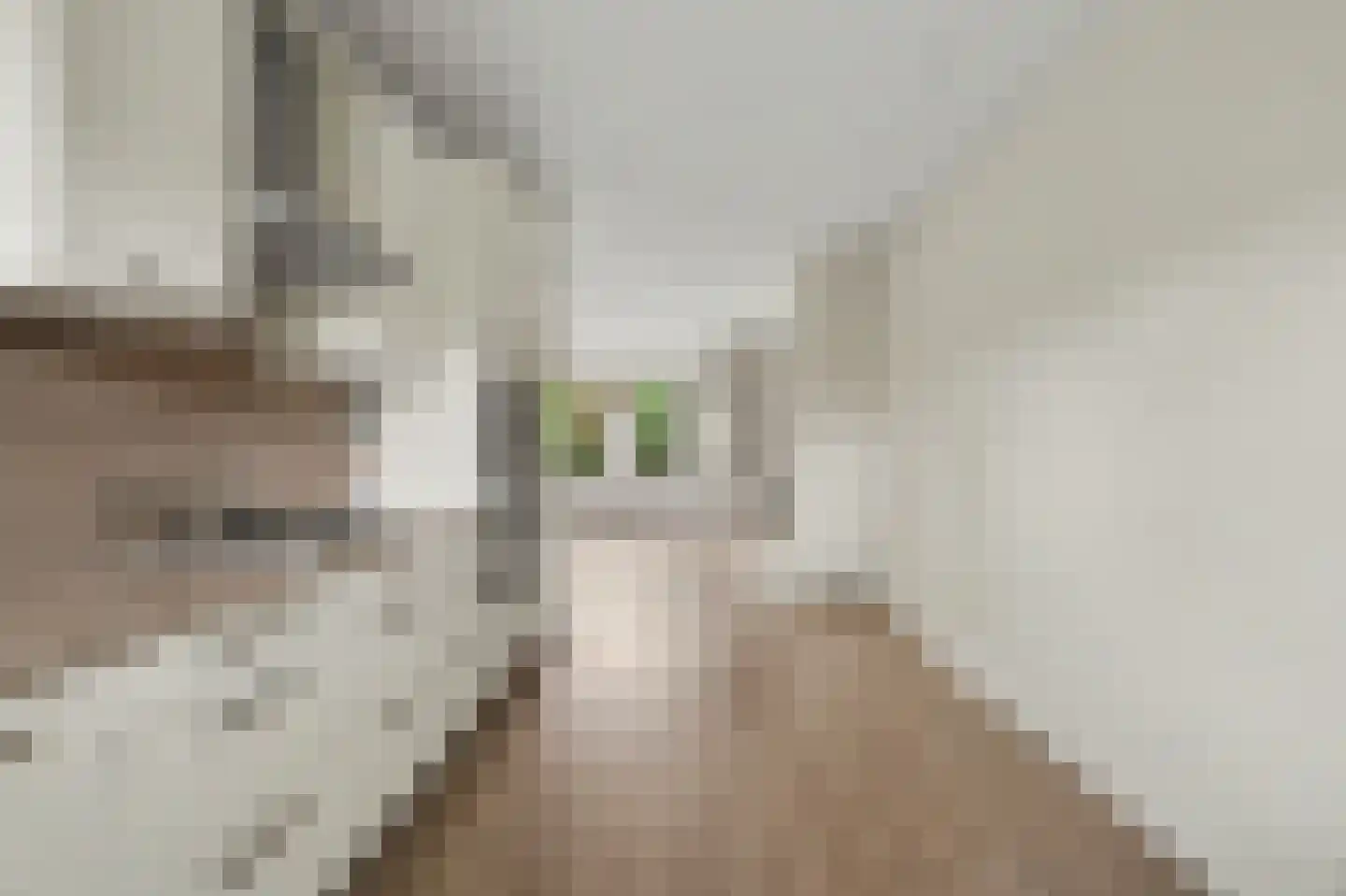 Witmos 3 Nieuwerkerk aan den IJssel thumbnail 7