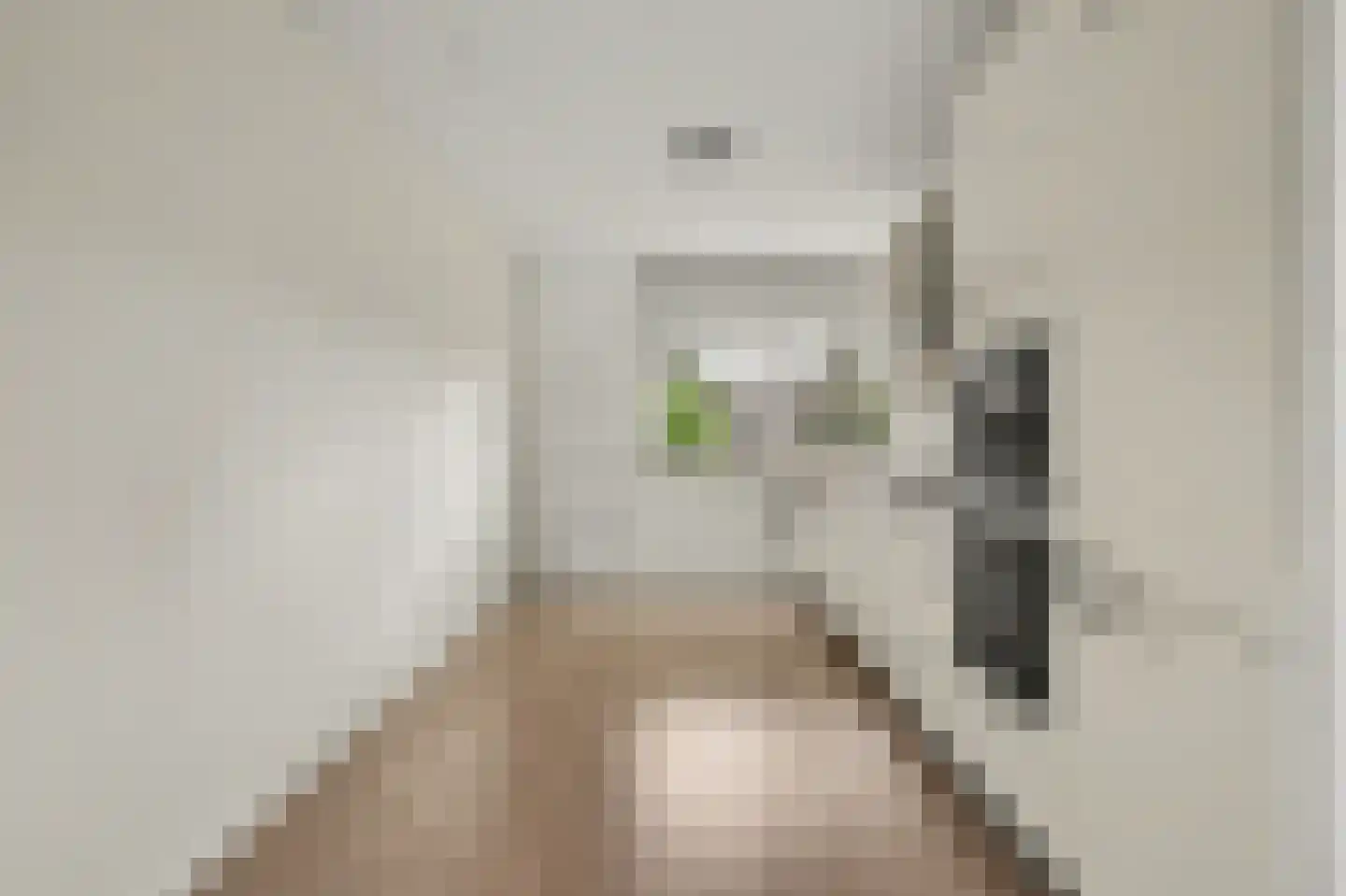 Witmos 3 Nieuwerkerk aan den IJssel thumbnail 8