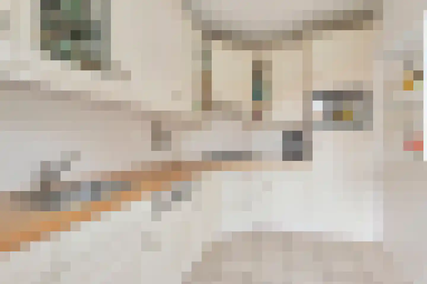 Witpoel 11 Bavel thumbnail 14