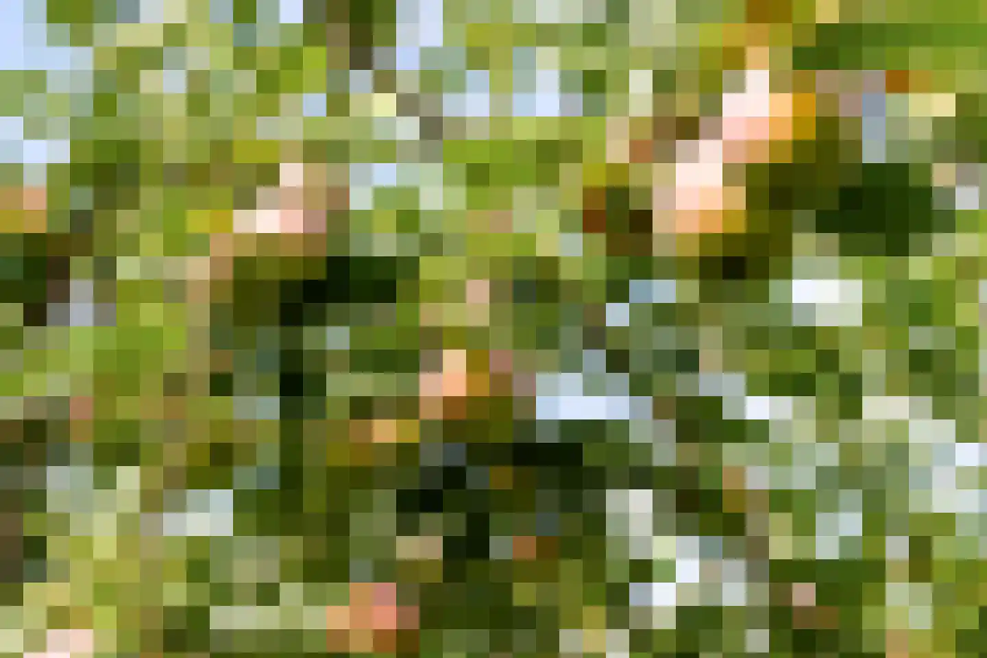 Witpoel 11 Bavel thumbnail 31