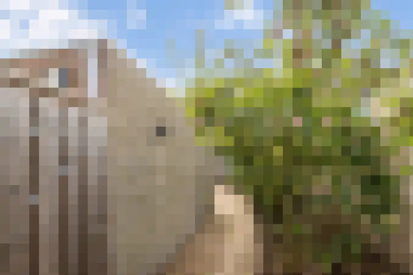 Witpoel 11 Bavel thumbnail 34
