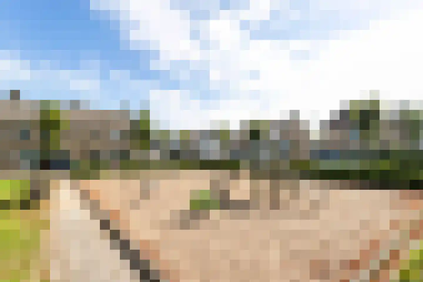 Witpoel 11 Bavel thumbnail 38