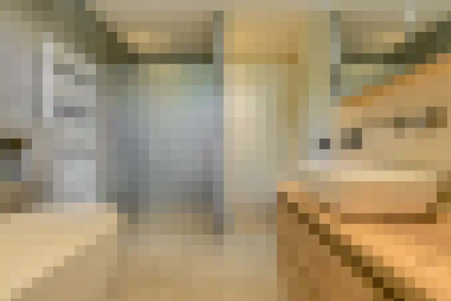 Witpoel 27 B Bavel thumbnail 25