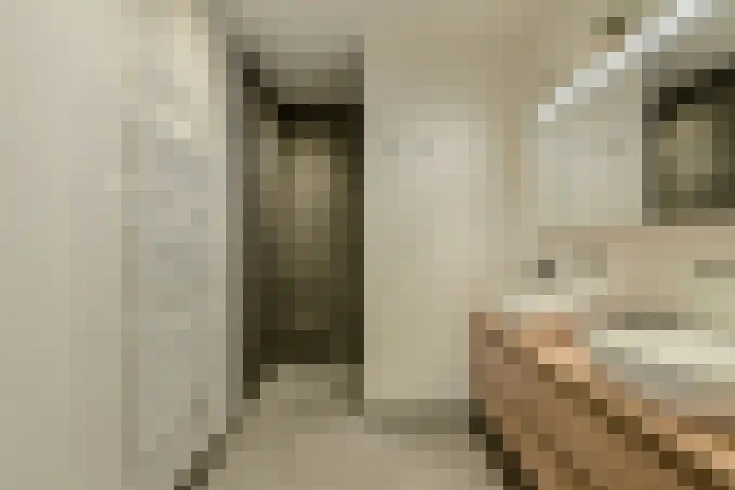Witpoel 27 B Bavel thumbnail 30