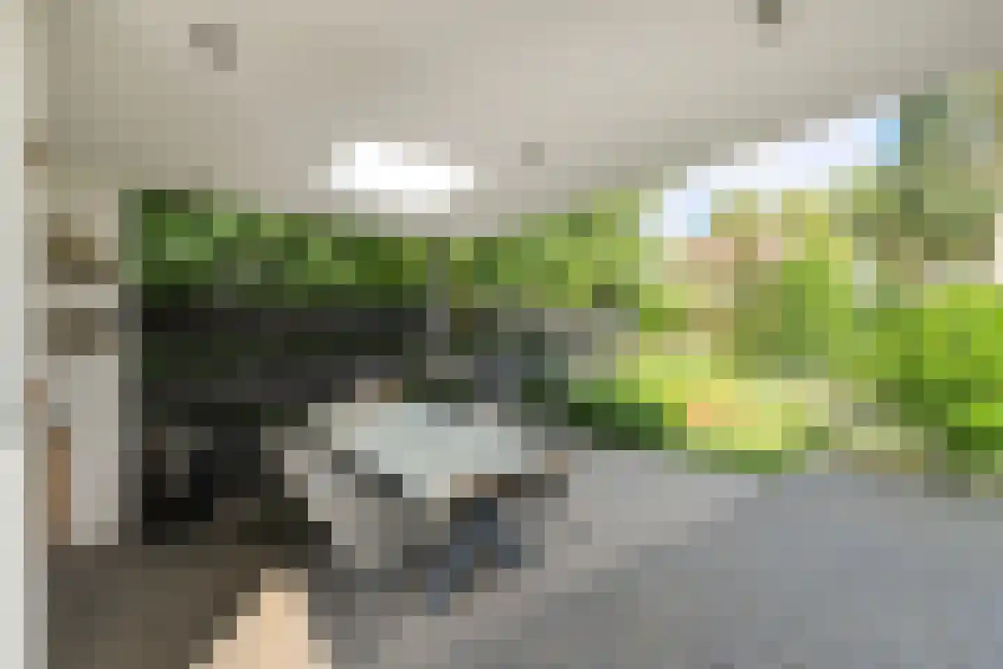 Witpoel 27 B Bavel thumbnail 37
