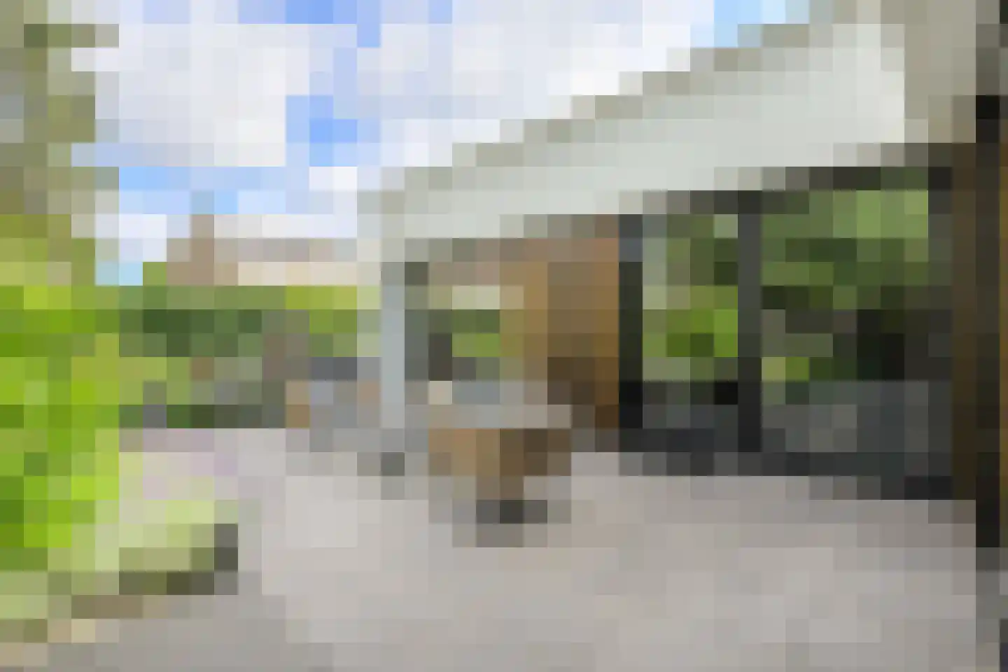 Witpoel 27 B Bavel thumbnail 41