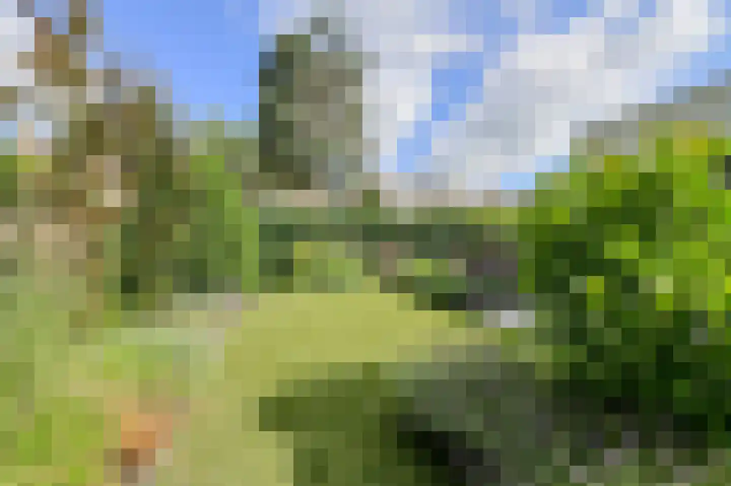 Witpoel 27 B Bavel thumbnail 43