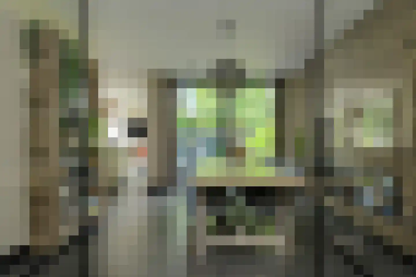 Witpoel 27 B Bavel thumbnail 8