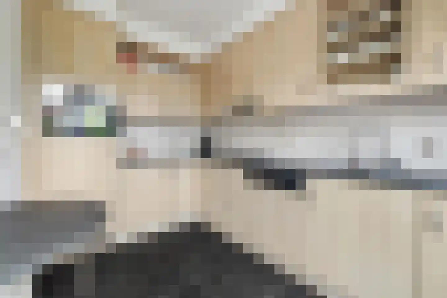 Witpoel 9 Bavel thumbnail 24