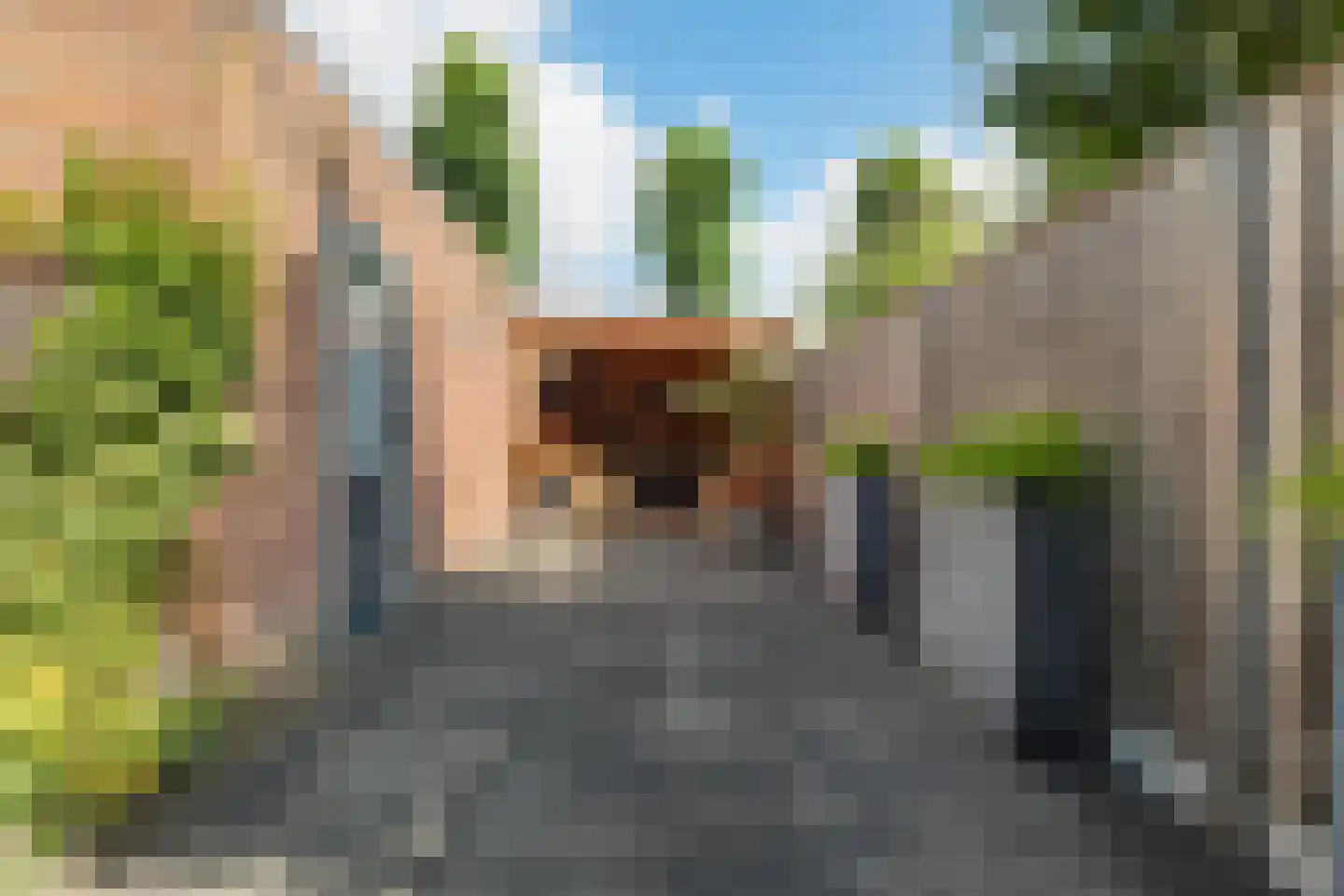Witpoel 9 Bavel thumbnail 54