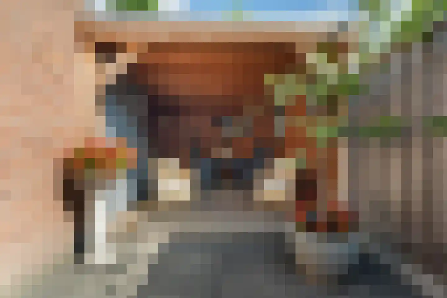 Witpoel 9 Bavel thumbnail 55