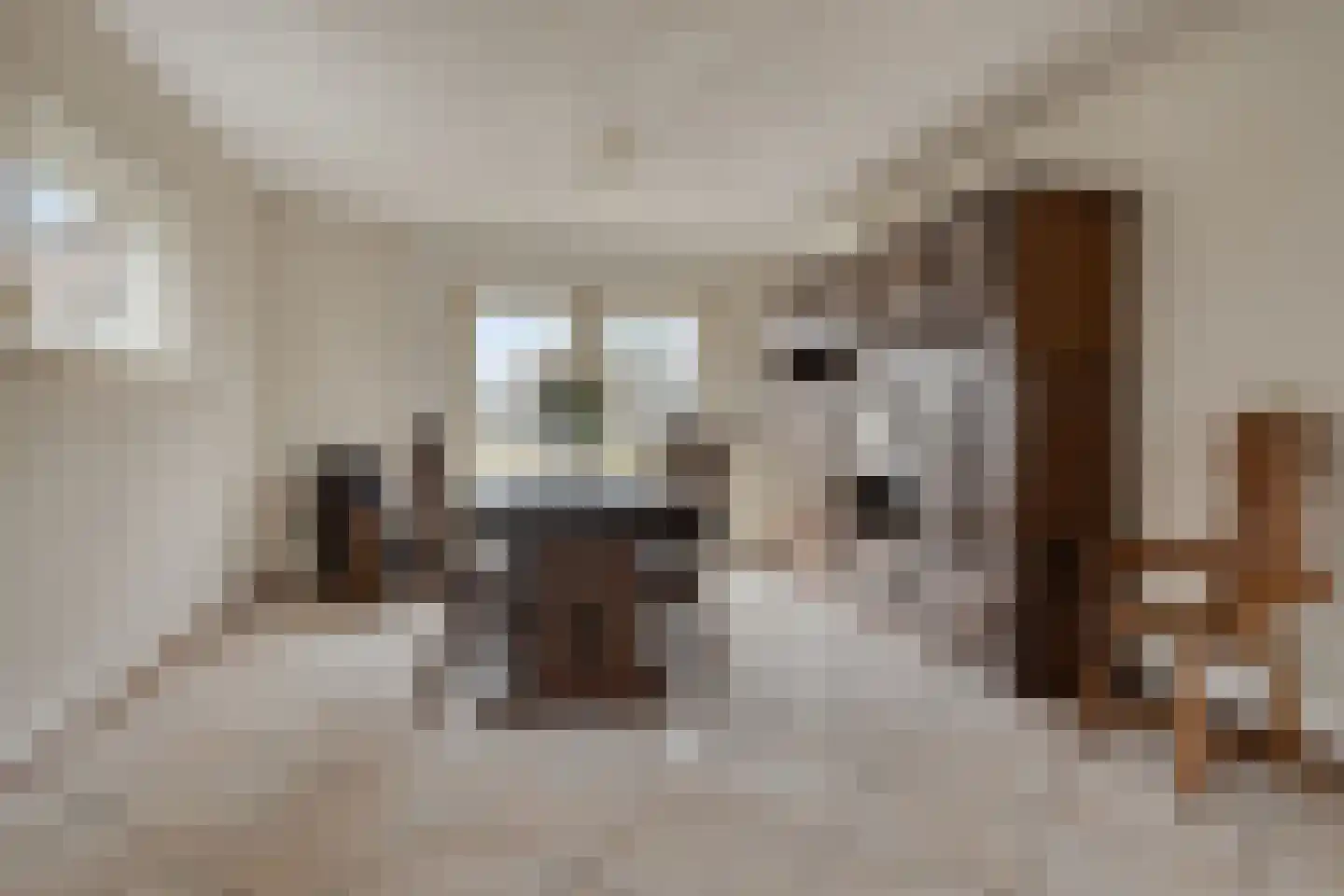 Witrijtseweg 4 Bergeijk thumbnail 11