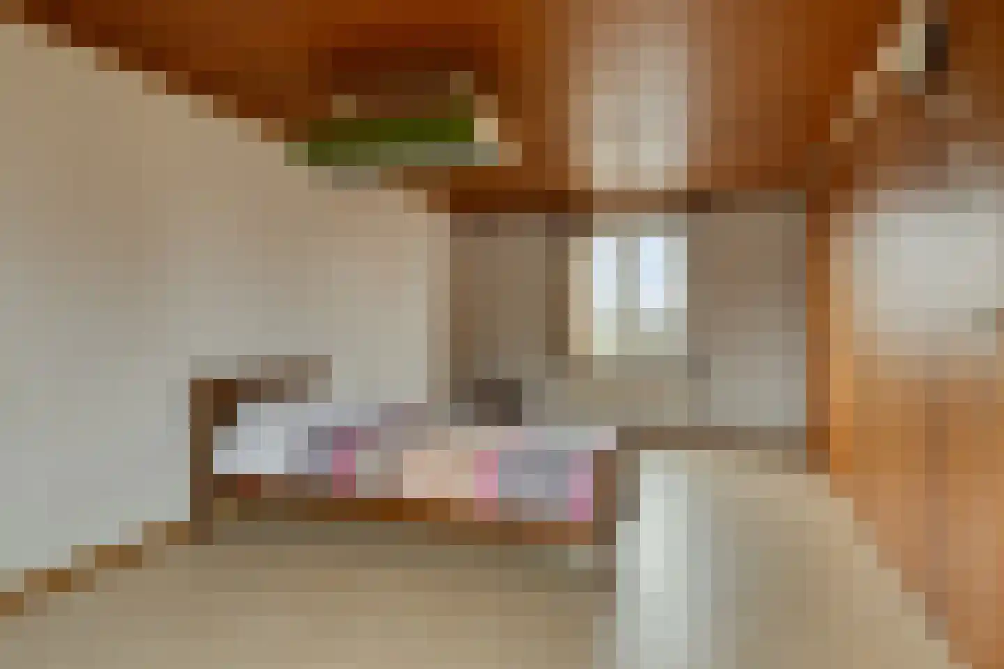 Witrijtseweg 4 Bergeijk thumbnail 20