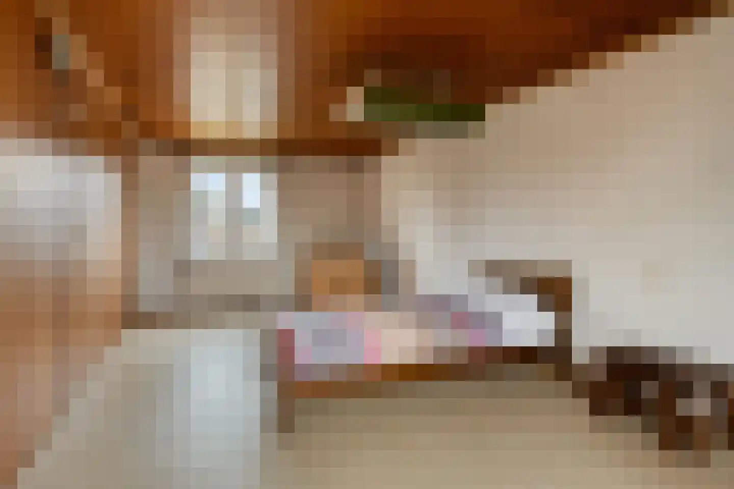 Witrijtseweg 4 Bergeijk thumbnail 21