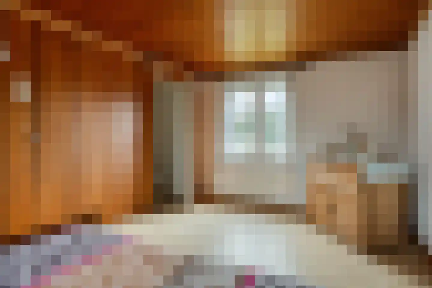 Witrijtseweg 4 Bergeijk thumbnail 22