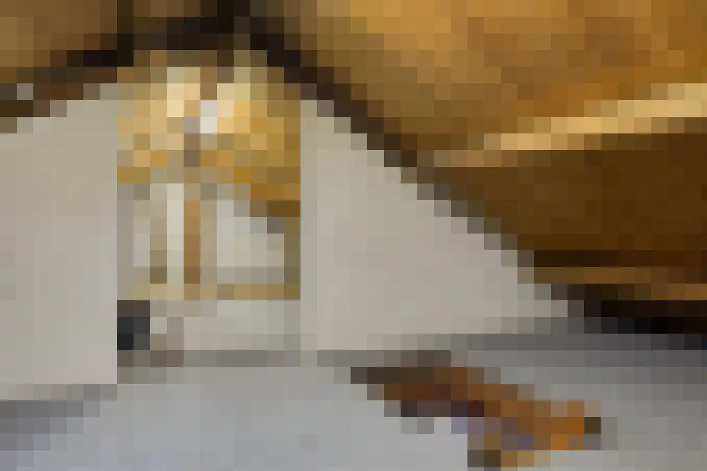 Witrijtseweg 4 Bergeijk thumbnail 31