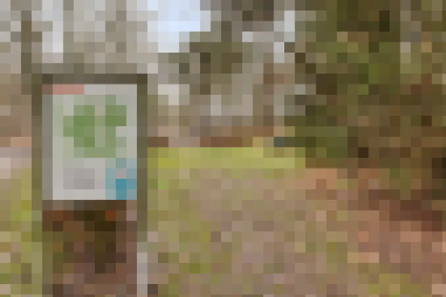 Witrijtseweg 4 Bergeijk thumbnail 37