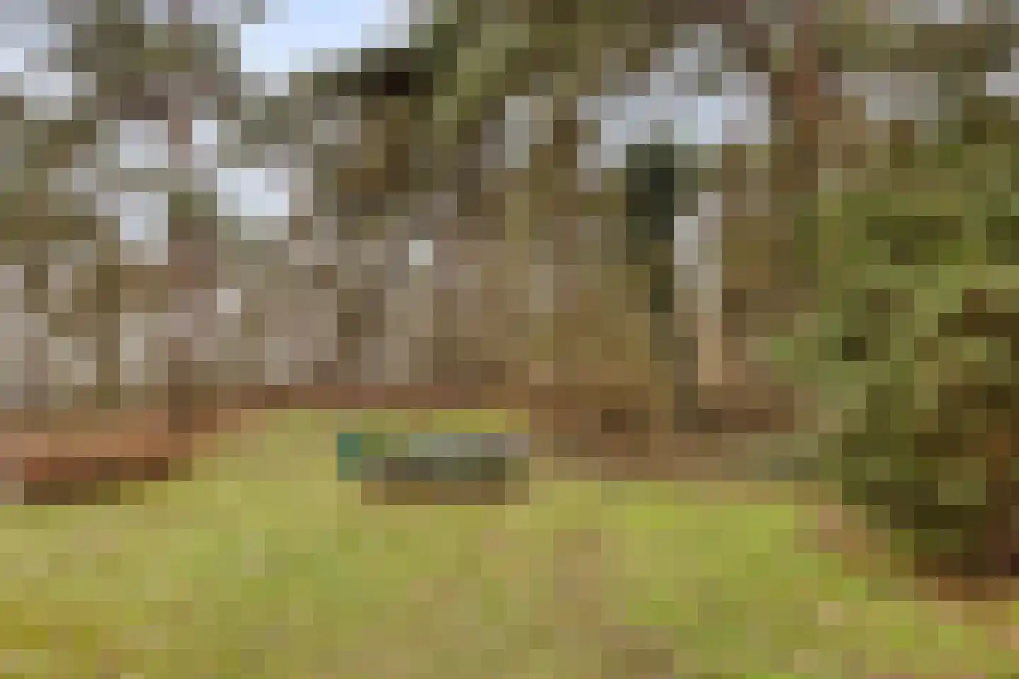 Witrijtseweg 4 Bergeijk thumbnail 38