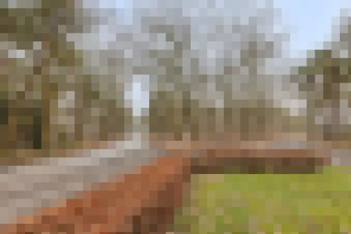 Witrijtseweg 4 Bergeijk thumbnail 39