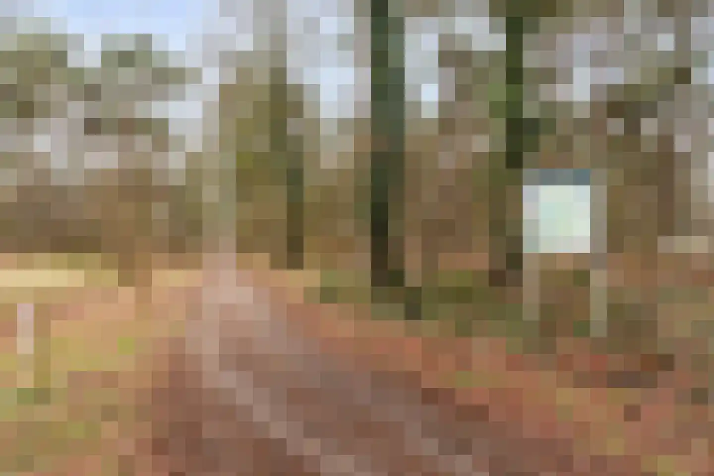 Witrijtseweg 4 Bergeijk thumbnail 40