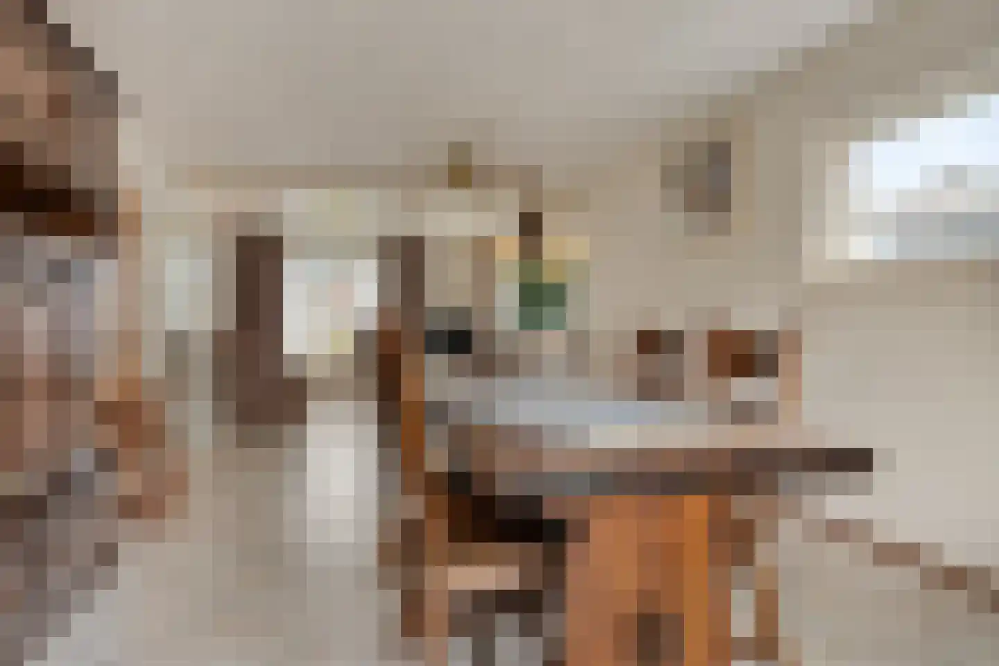 Witrijtseweg 4 Bergeijk thumbnail 9