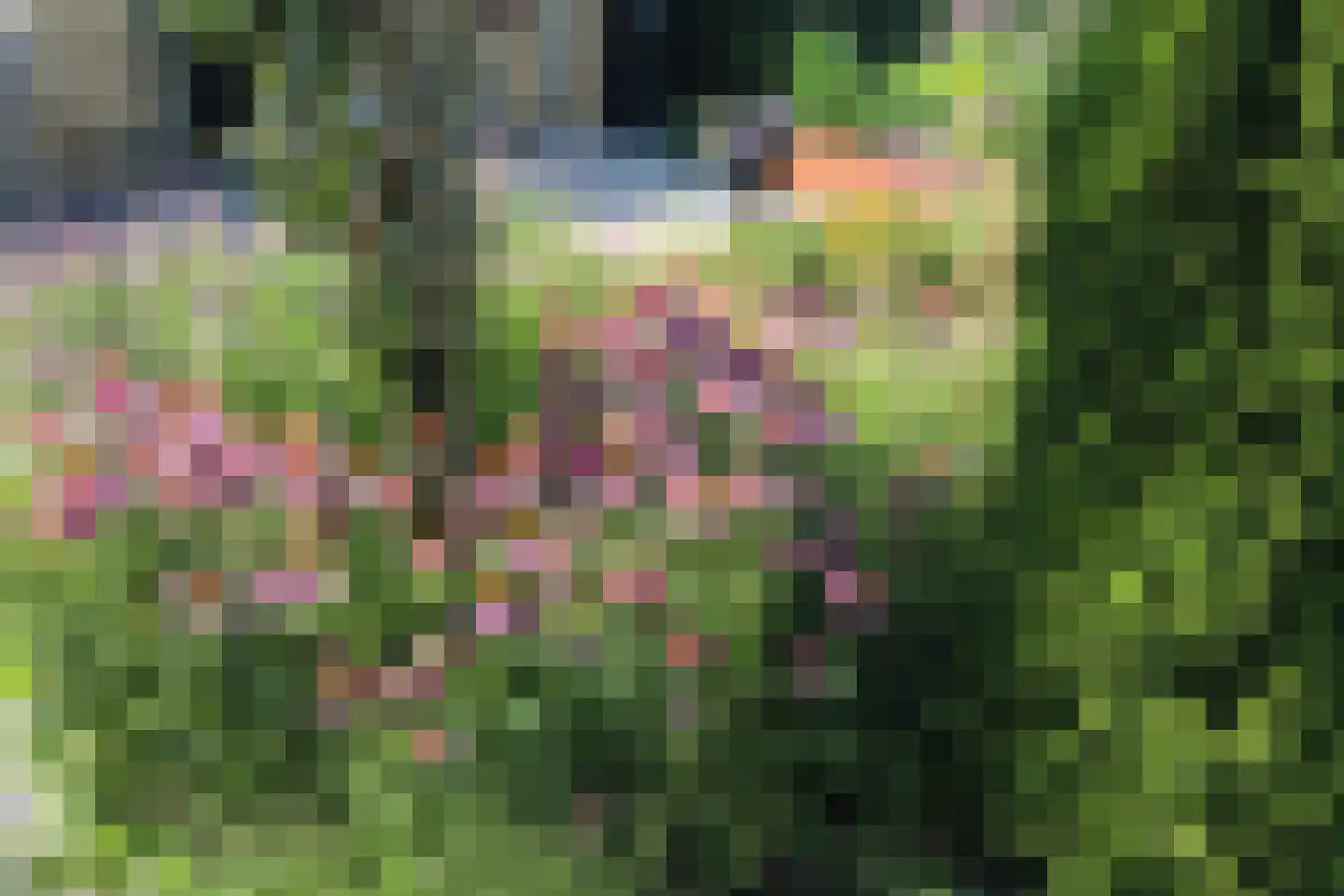 Witrikstraat 8 Middenbeemster thumbnail 39