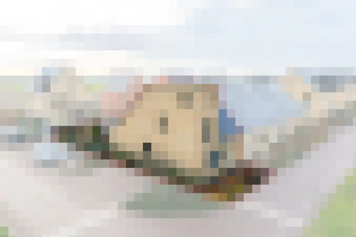 Witrikstraat 8 Middenbeemster thumbnail 4