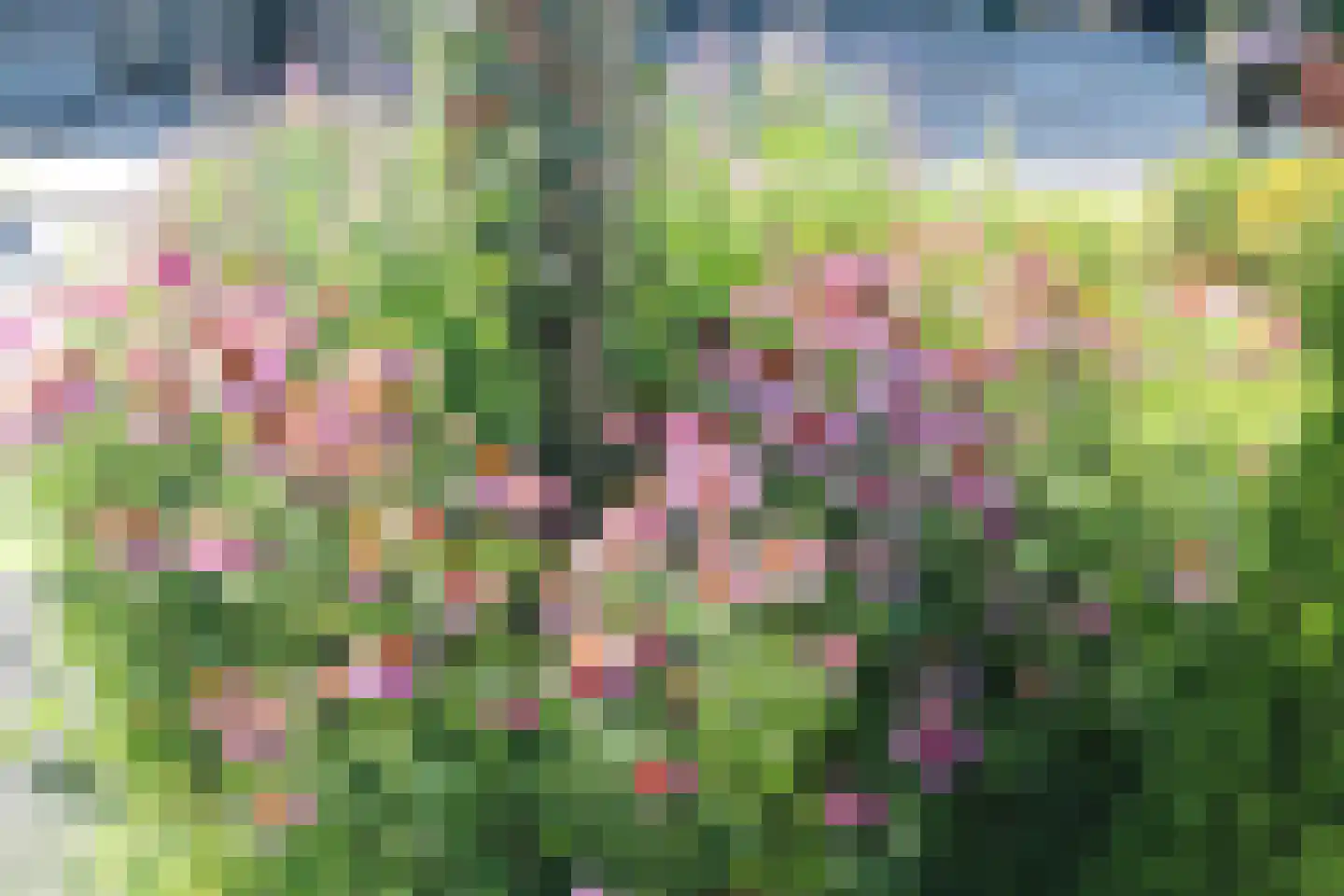 Witrikstraat 8 Middenbeemster thumbnail 5