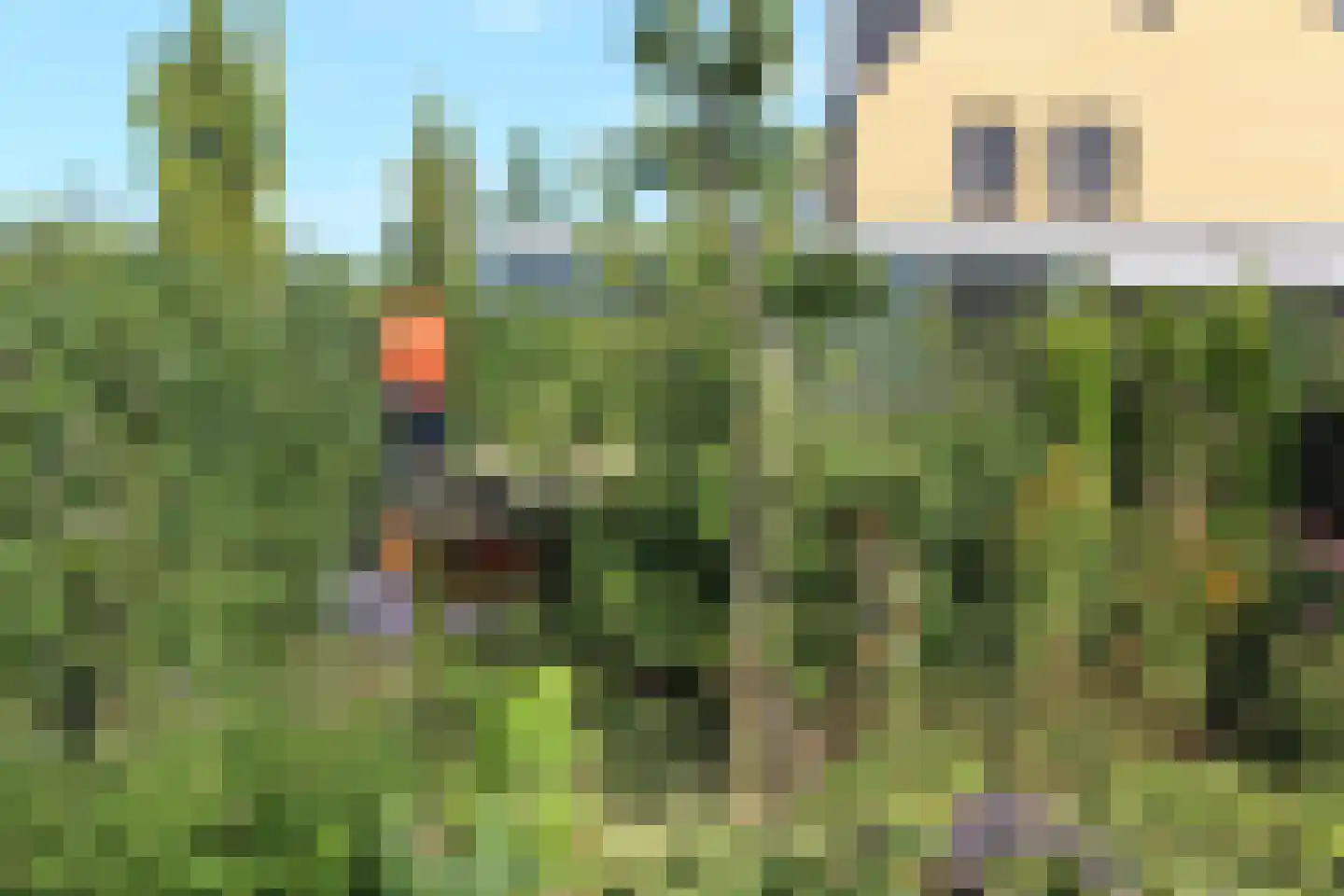 Witrikstraat 8 Middenbeemster thumbnail 7