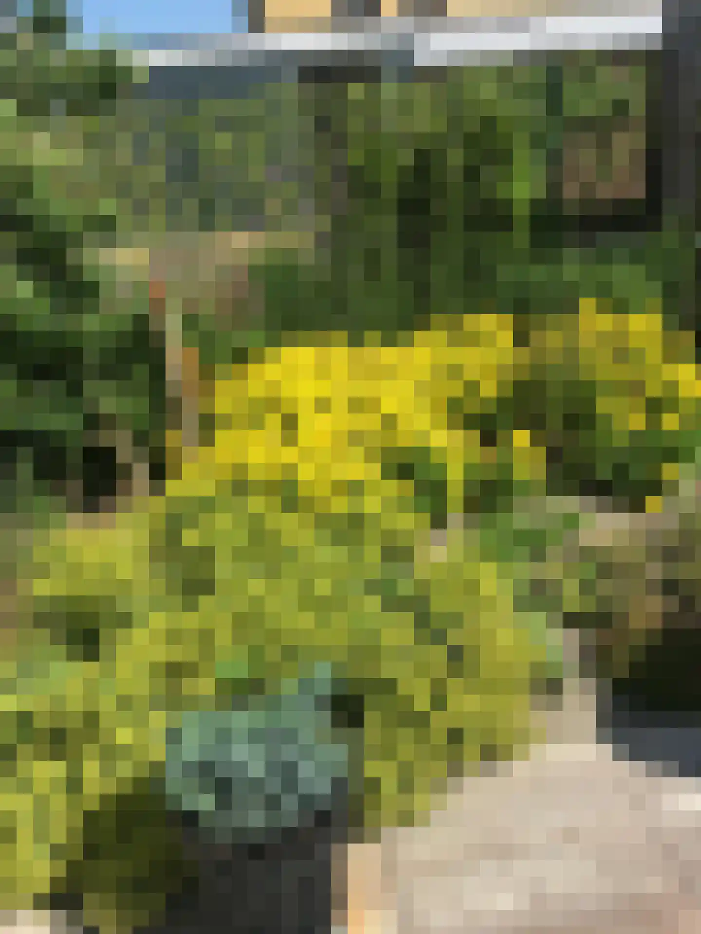 Witrikstraat 8 Middenbeemster thumbnail 70