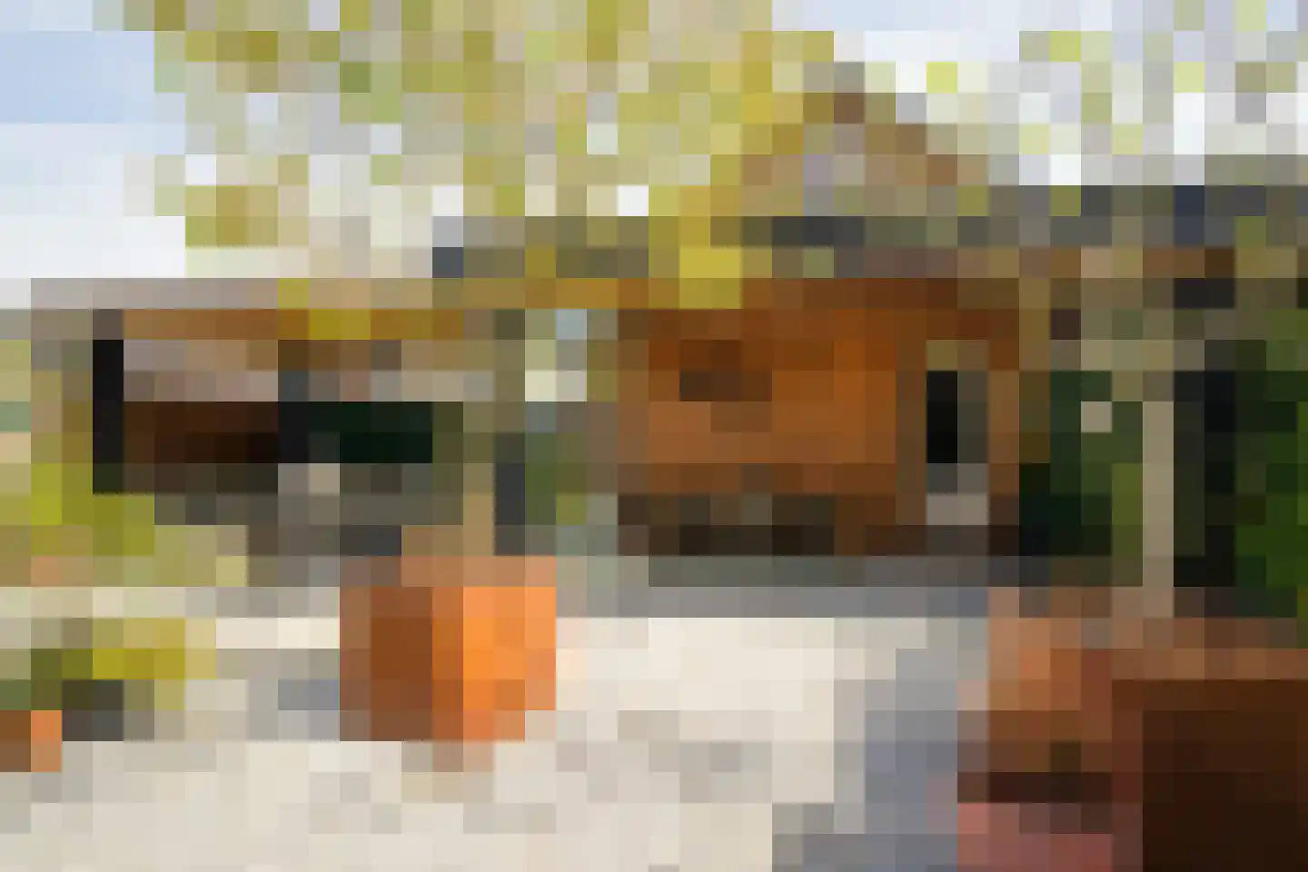 Witrikweg 34 Teteringen thumbnail 5