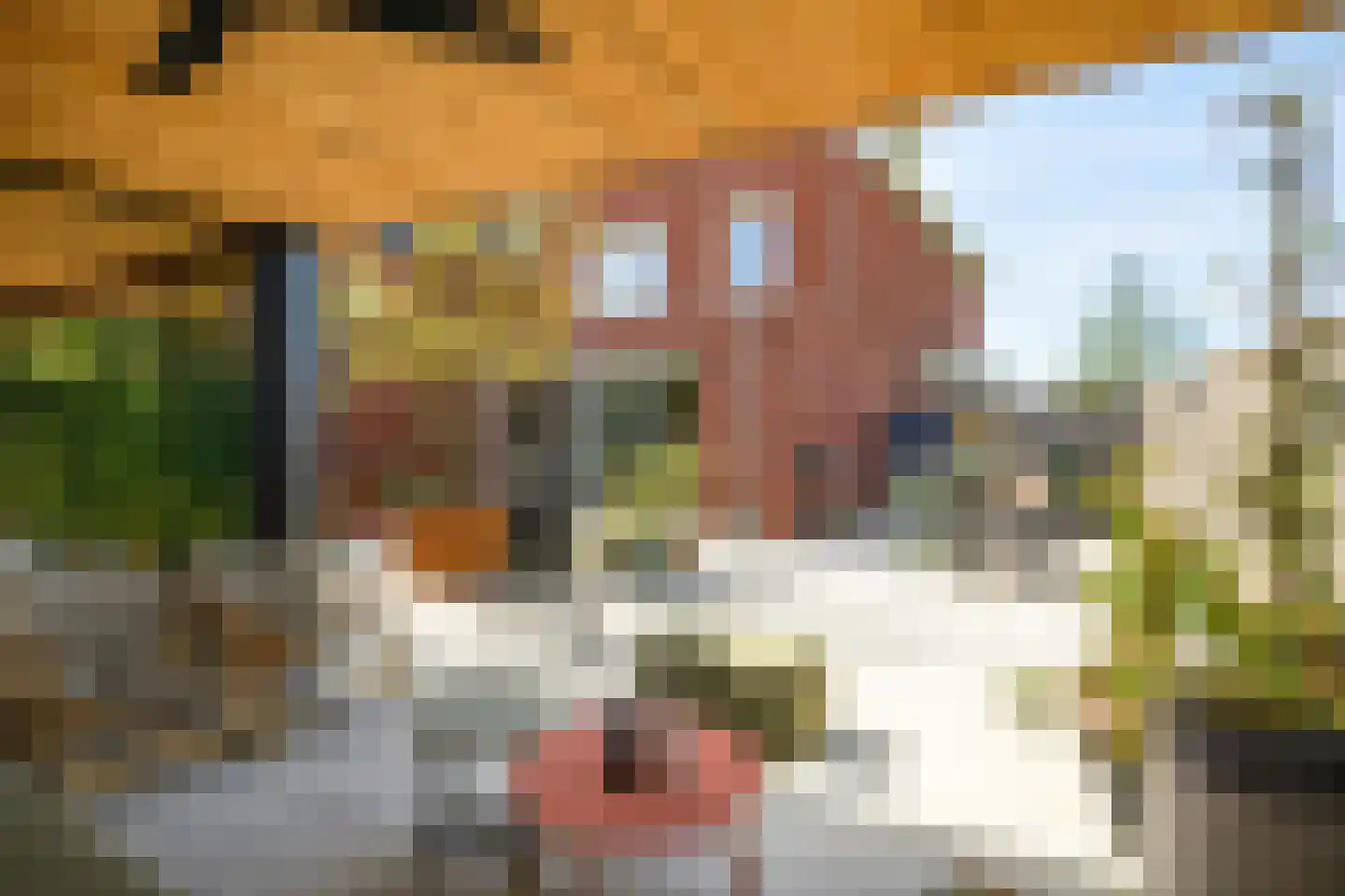 Witrikweg 34 Teteringen thumbnail 58