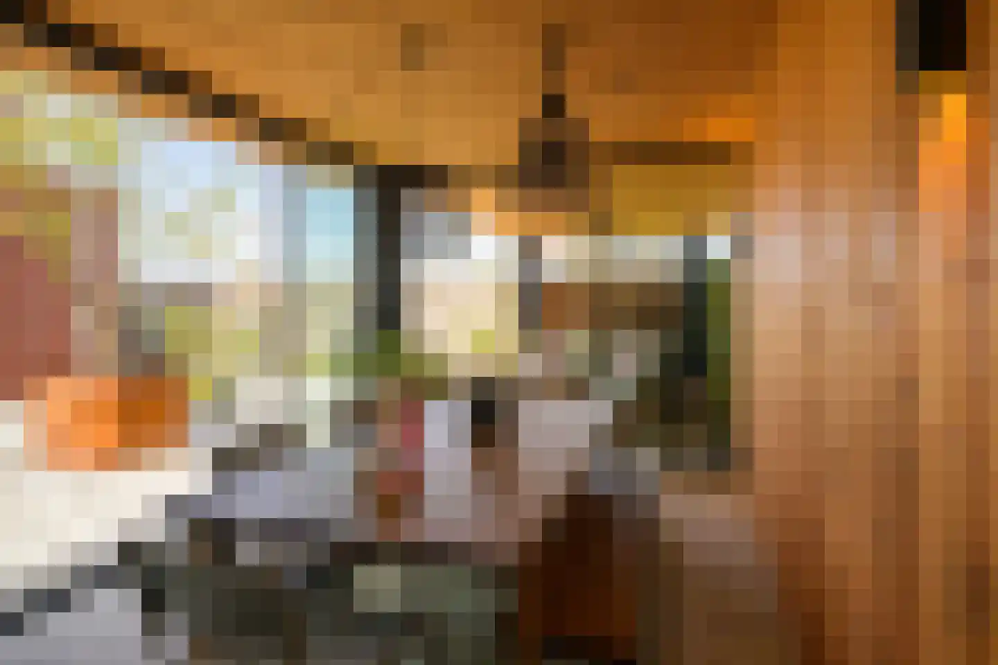 Witrikweg 34 Teteringen thumbnail 62