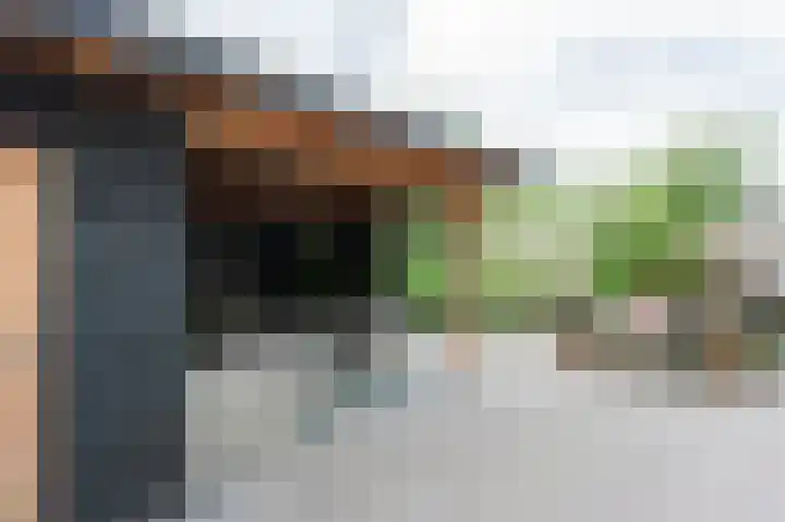 Witrugspecht 18 Emmen thumbnail 32