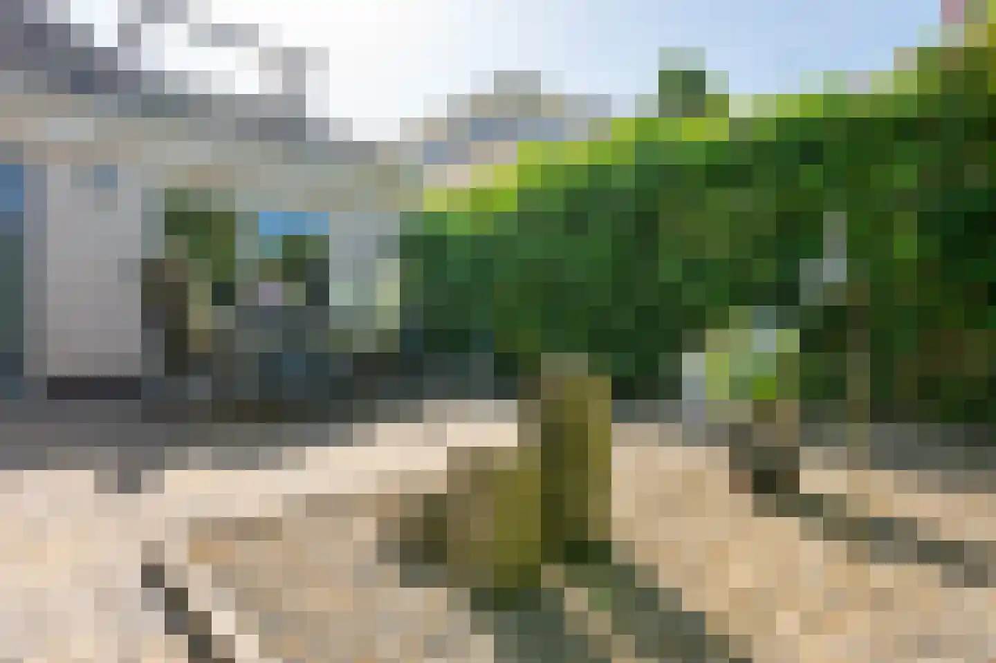 Witrugspecht 31 Emmen thumbnail 37