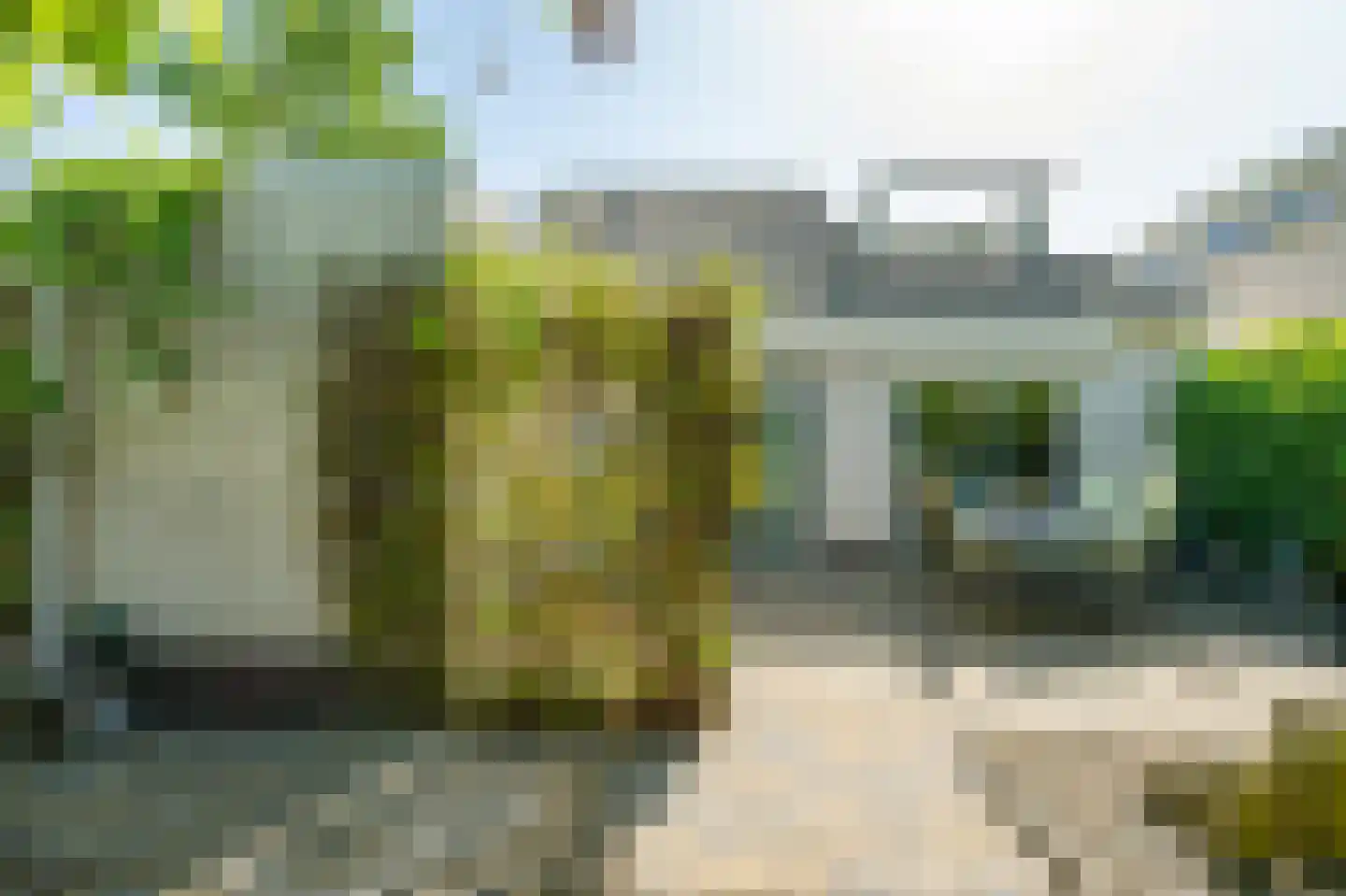 Witrugspecht 31 Emmen thumbnail 38