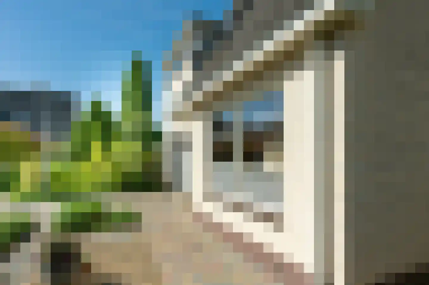 Witrugspecht 31 Emmen thumbnail 41