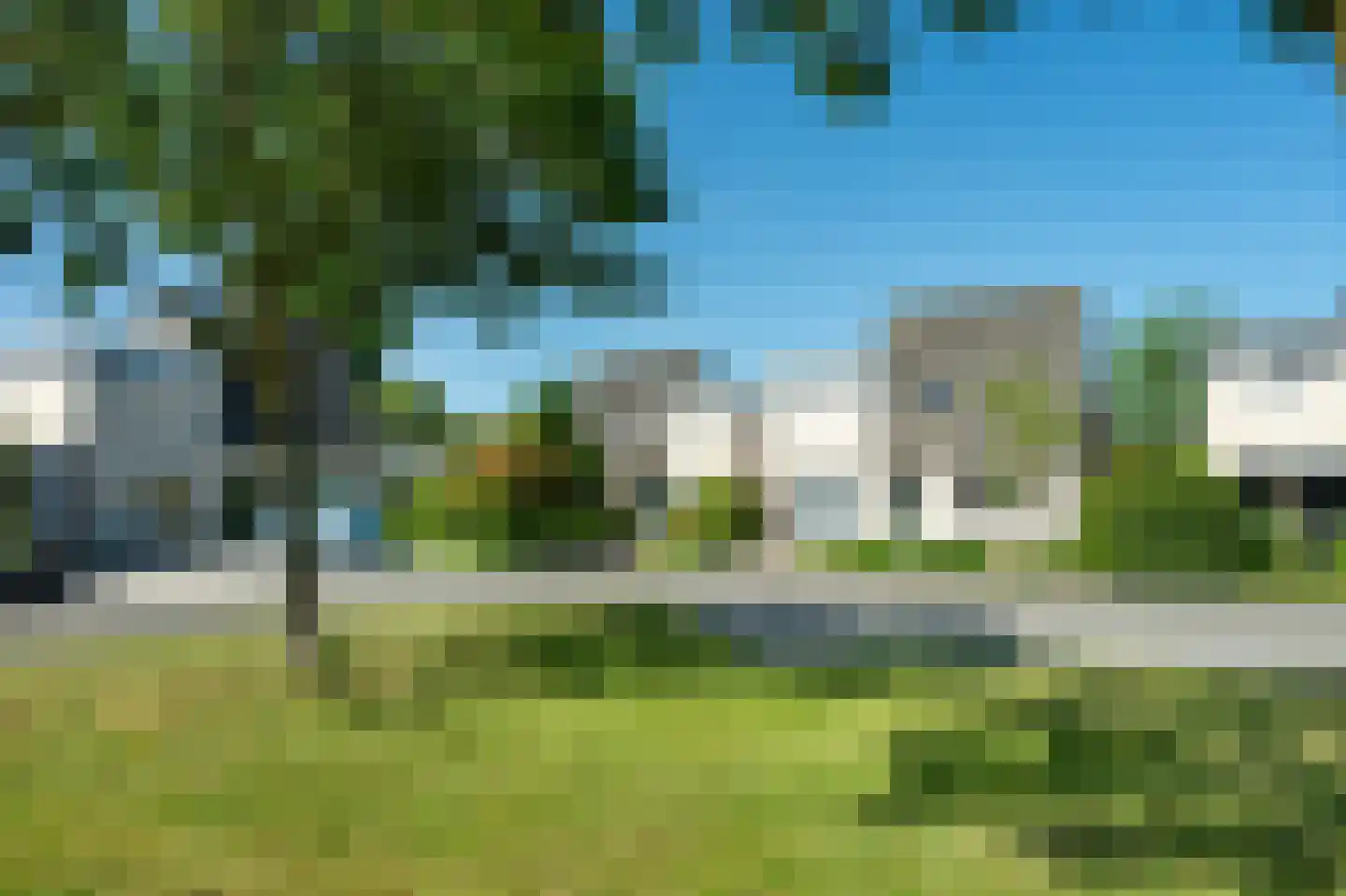 Witrugspecht 31 Emmen thumbnail 45
