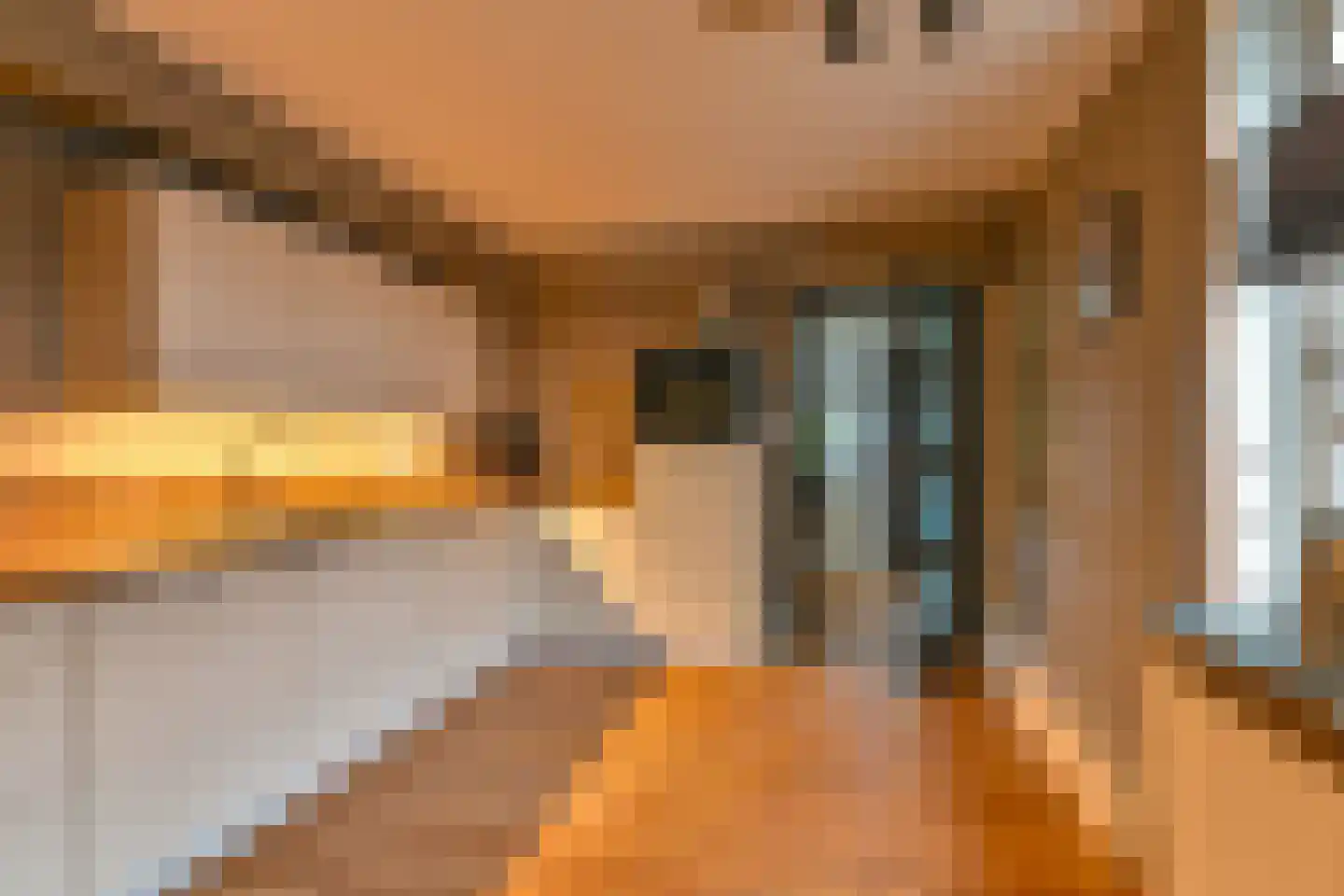Witsenborgstraat 2 Hoogeveen thumbnail 16