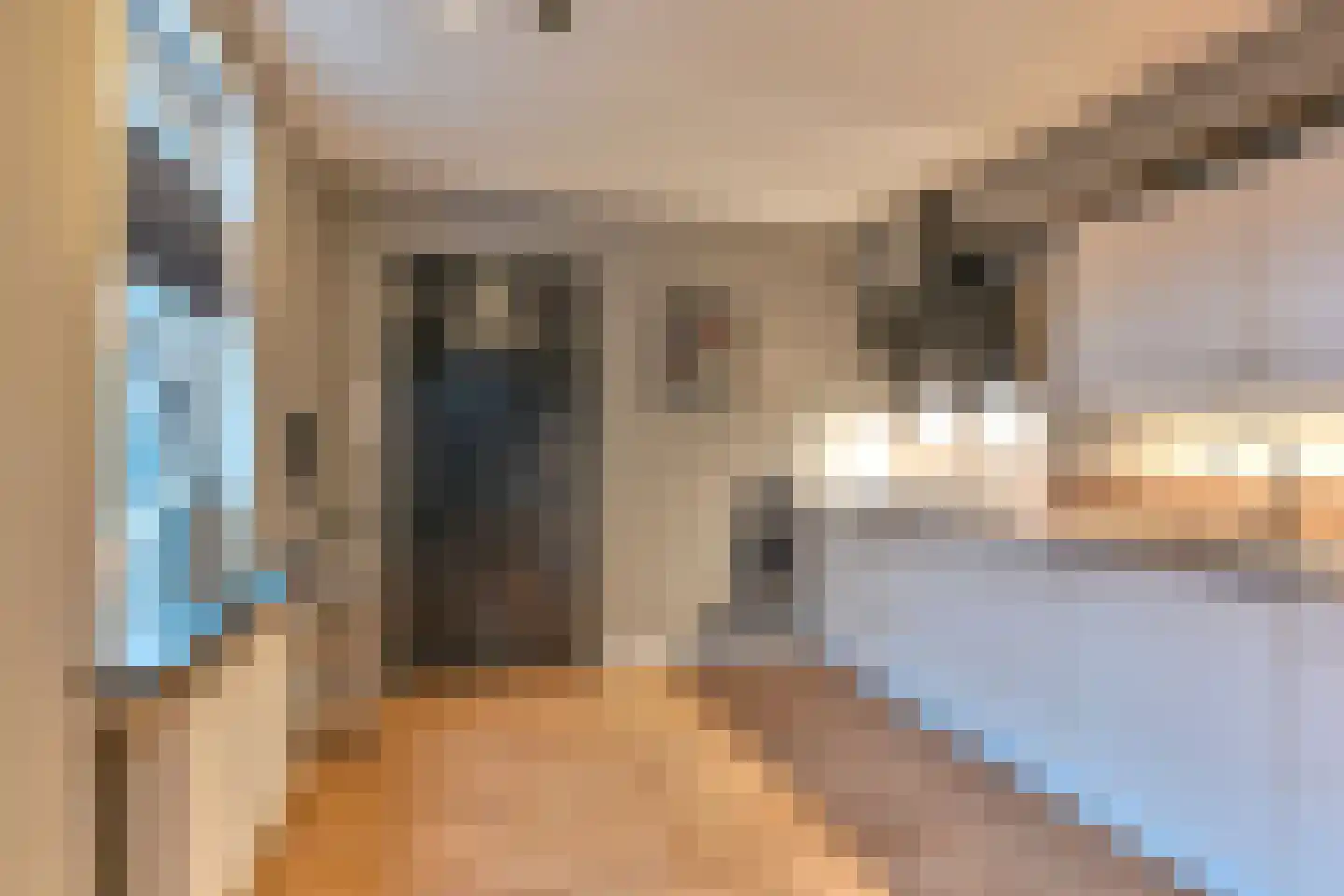 Witsenborgstraat 2 Hoogeveen thumbnail 20