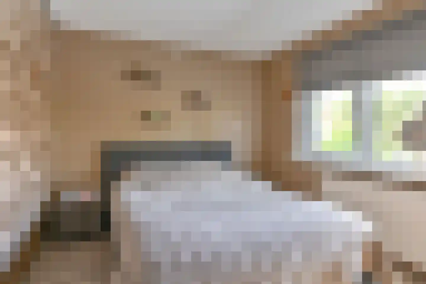 Witsenborgstraat 2 Hoogeveen thumbnail 36
