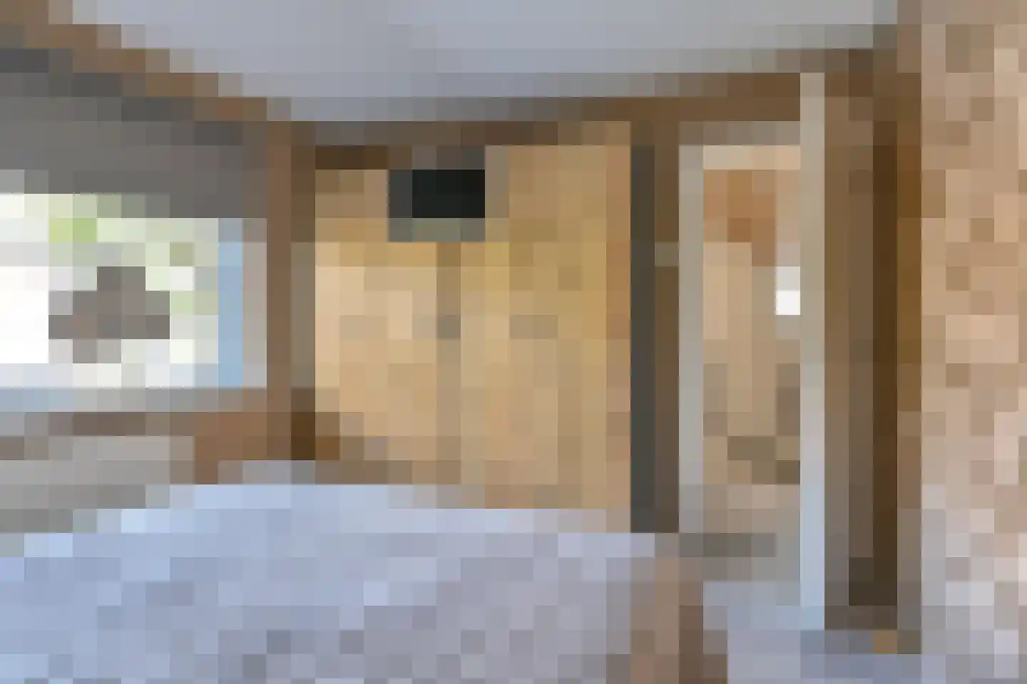 Witsenborgstraat 2 Hoogeveen thumbnail 38