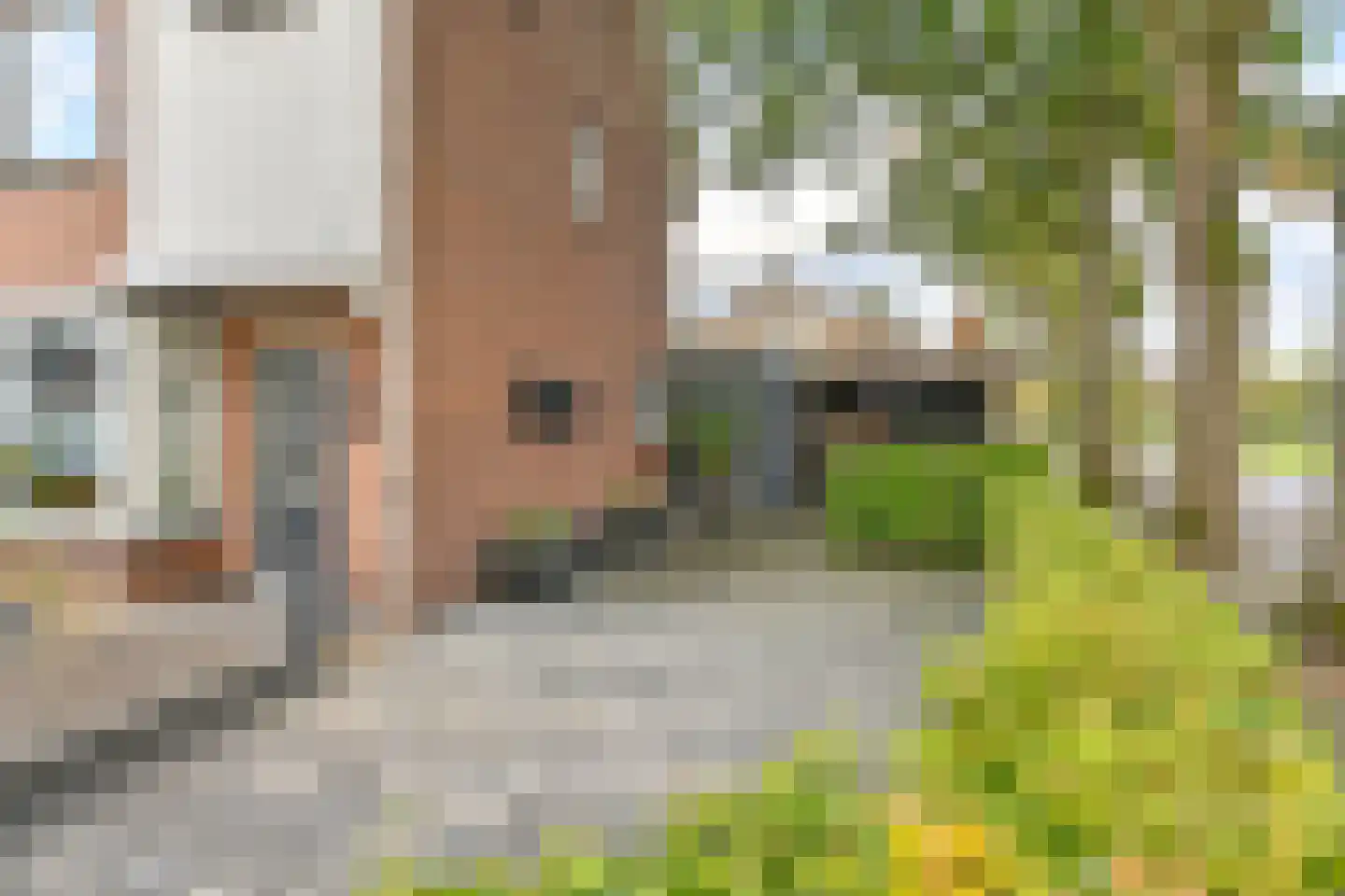 Witsenborgstraat 2 Hoogeveen thumbnail 52